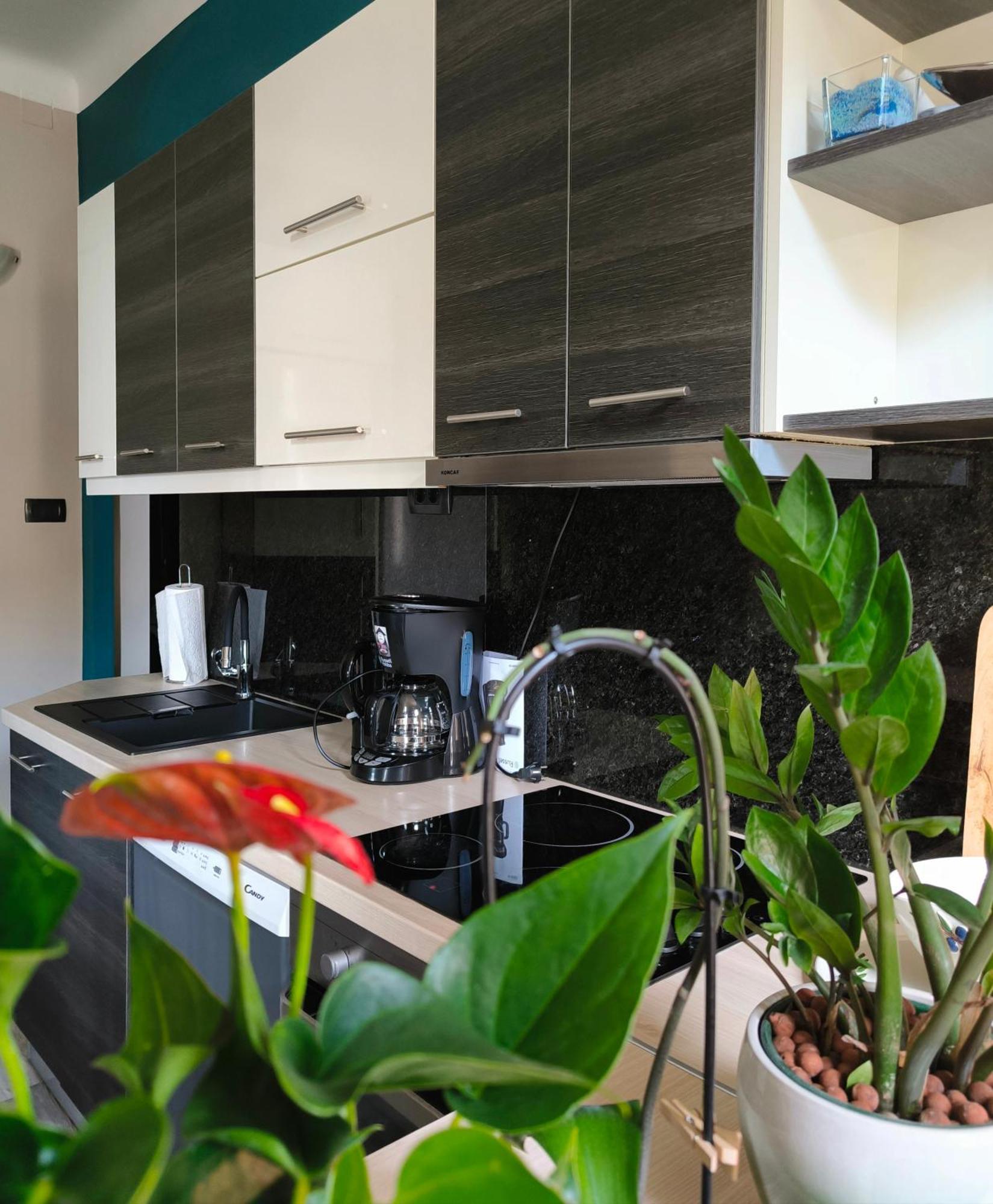 Urban Villa Apartment Опатия Екстериор снимка